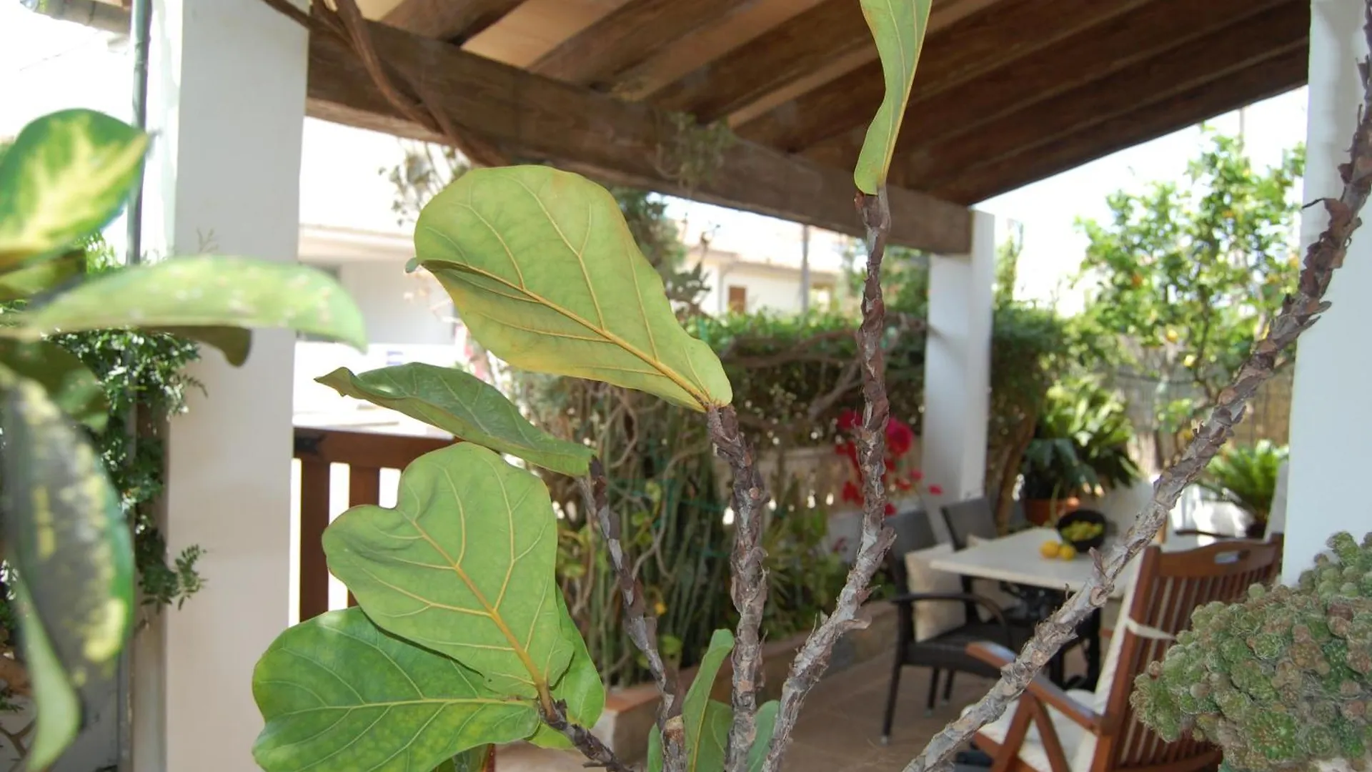 사 라피타 La Casa De La Rapita 빌라 사 라피타